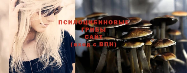 экстази Покачи