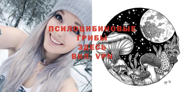 экстази Покачи